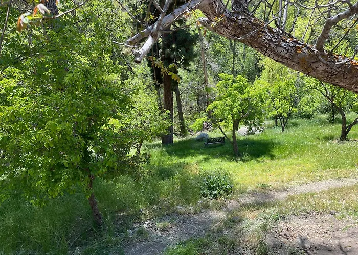 Quiet Mind Lodge, Spa & Retreat Sequoias