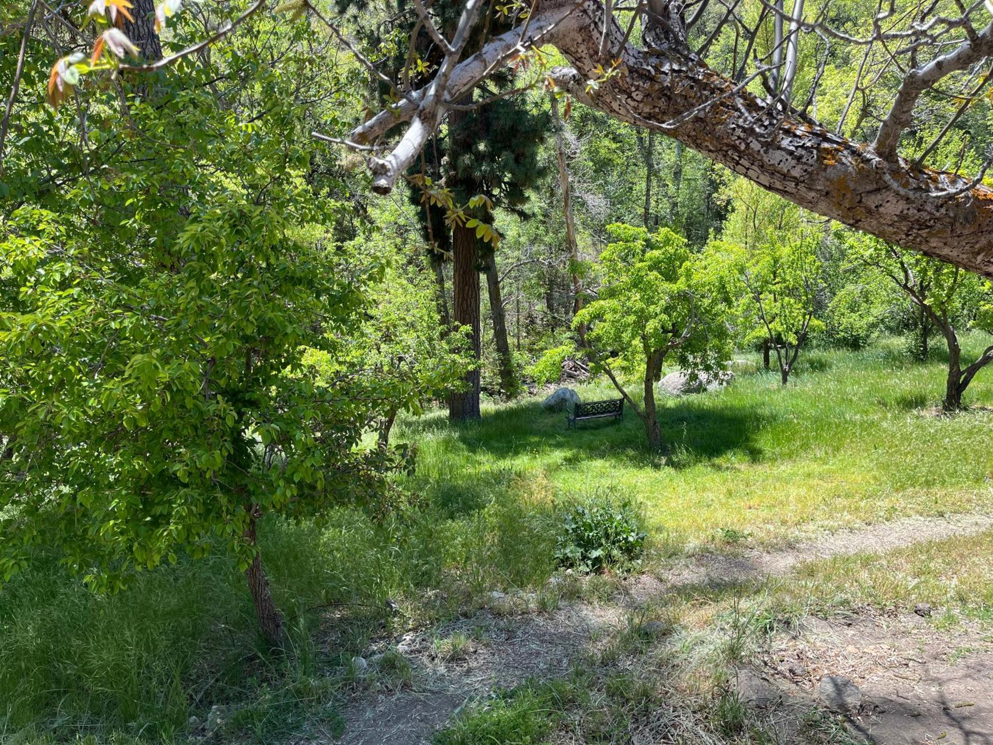 Quiet Mind Lodge, & Retreat Sequoias Lodge Kernville